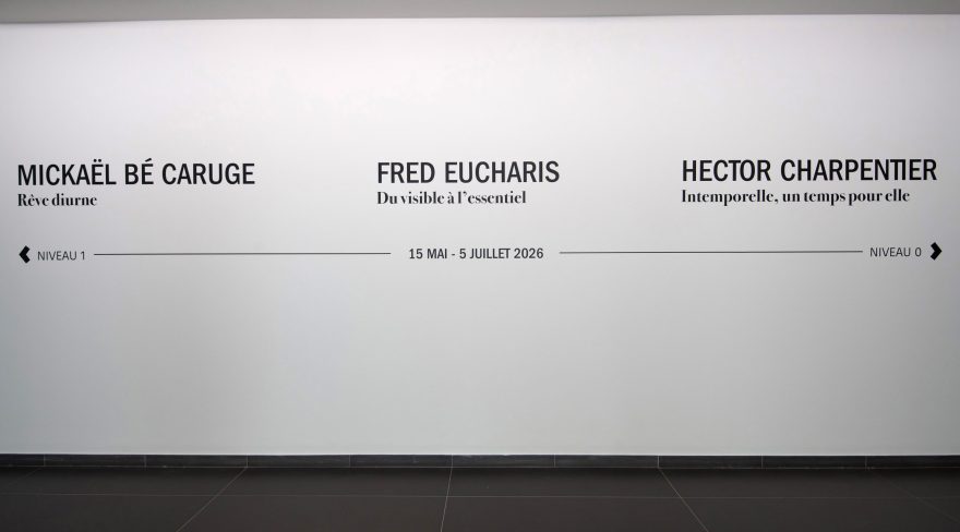 FONDATION CLÉMENT EXPOSITION RÊVE DIURNE,DU VISIBLE À L'ESSENTIEL,INTEMPORELLE,TEMPS POUR ELLE,DE MICKAËL BÉ CARUGE,FRED EUCHARIS,HECTOR CHARPENTIER.