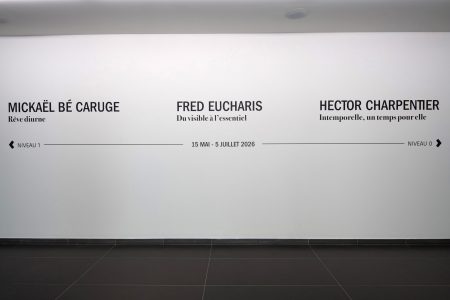 FONDATION CLÉMENT EXPOSITION RÊVE DIURNE,DU VISIBLE À L'ESSENTIEL,INTEMPORELLE,TEMPS POUR ELLE,DE MICKAËL BÉ CARUGE,FRED EUCHARIS,HECTOR CHARPENTIER.